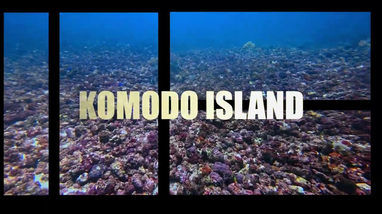 Diving in Komodo Island Part 1