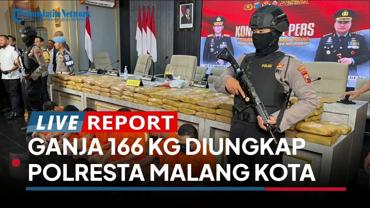 Polresta Malang Kota Bongkar Jaringan Narkoba, Sebanyak 166,58 Kilogram Ganja Diamankan