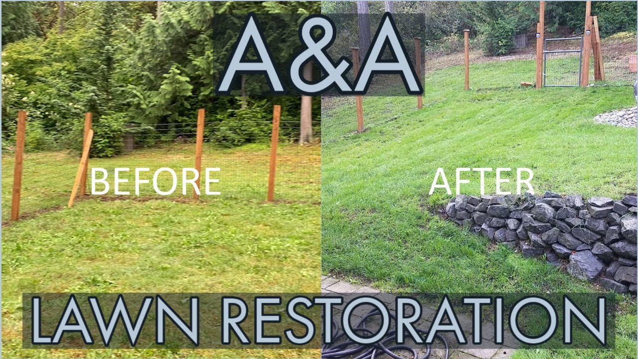 Reviving a Pacific Northwest Lawn