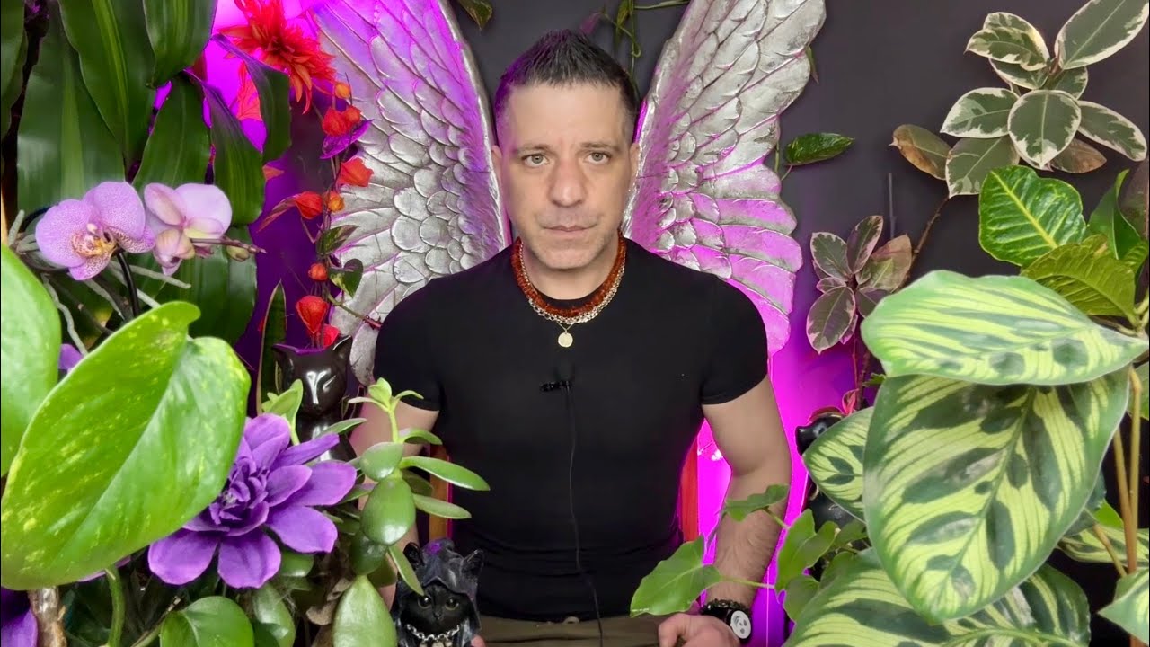 GEMINI - Something WEIRD is About To Happen!! | MAJOR REVELATION! | 14 - 20 April Gemini Tarot
