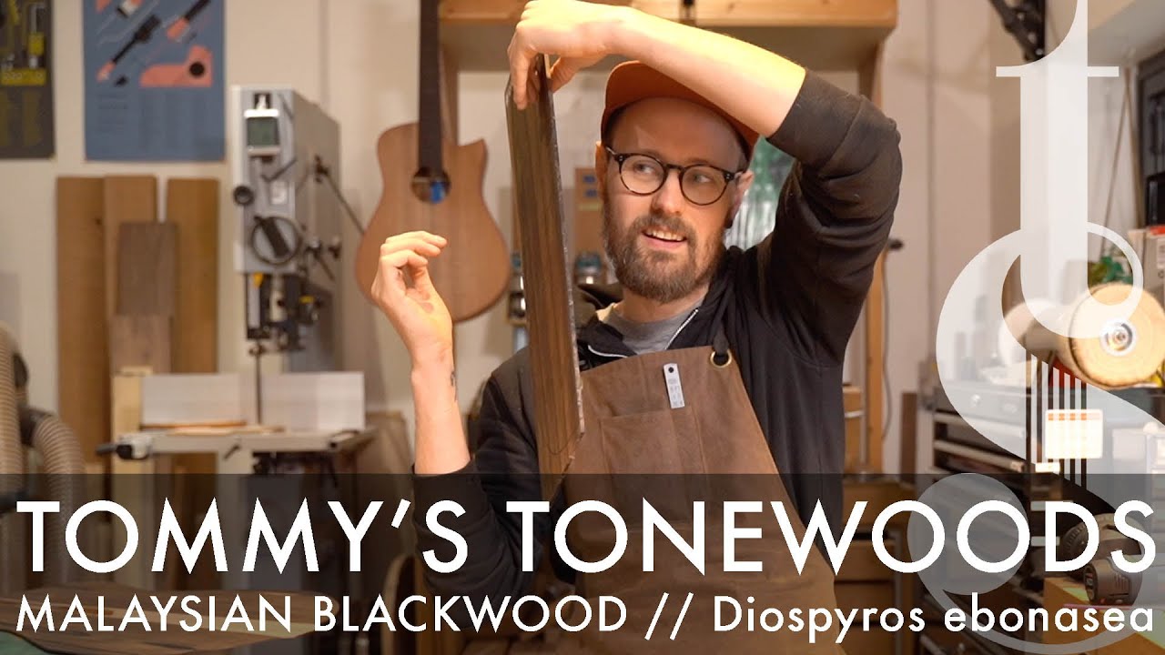 Malaysian Blackwood - Diospyros ebonasea - Tommy's Tonewoods