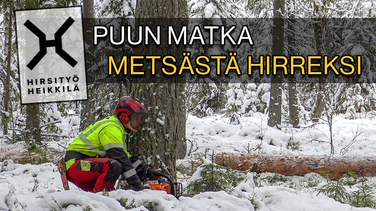 Puun matka metsästä hirreksi - Hirsipuiden hankinta