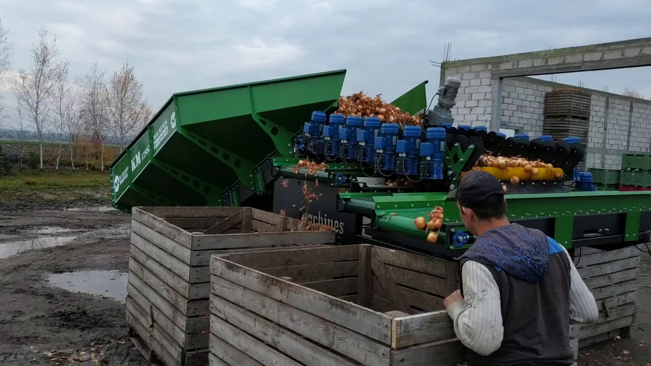 Kosz przyjęciowy typ KM12SS3