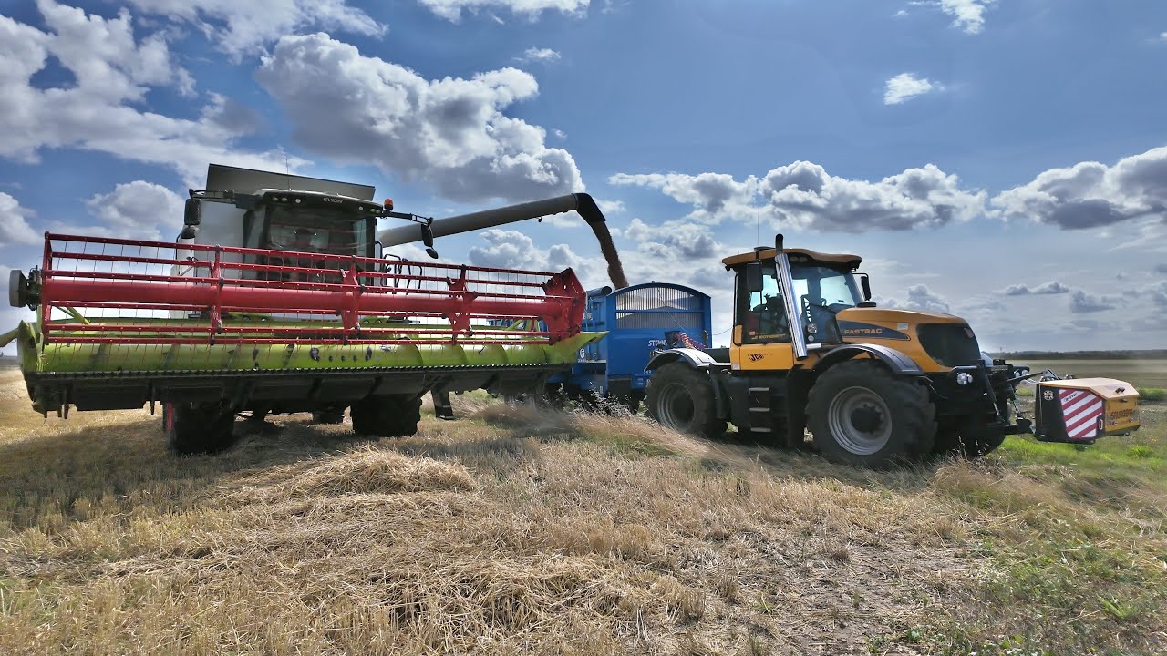 WHEAT HARVEST DAY 1
