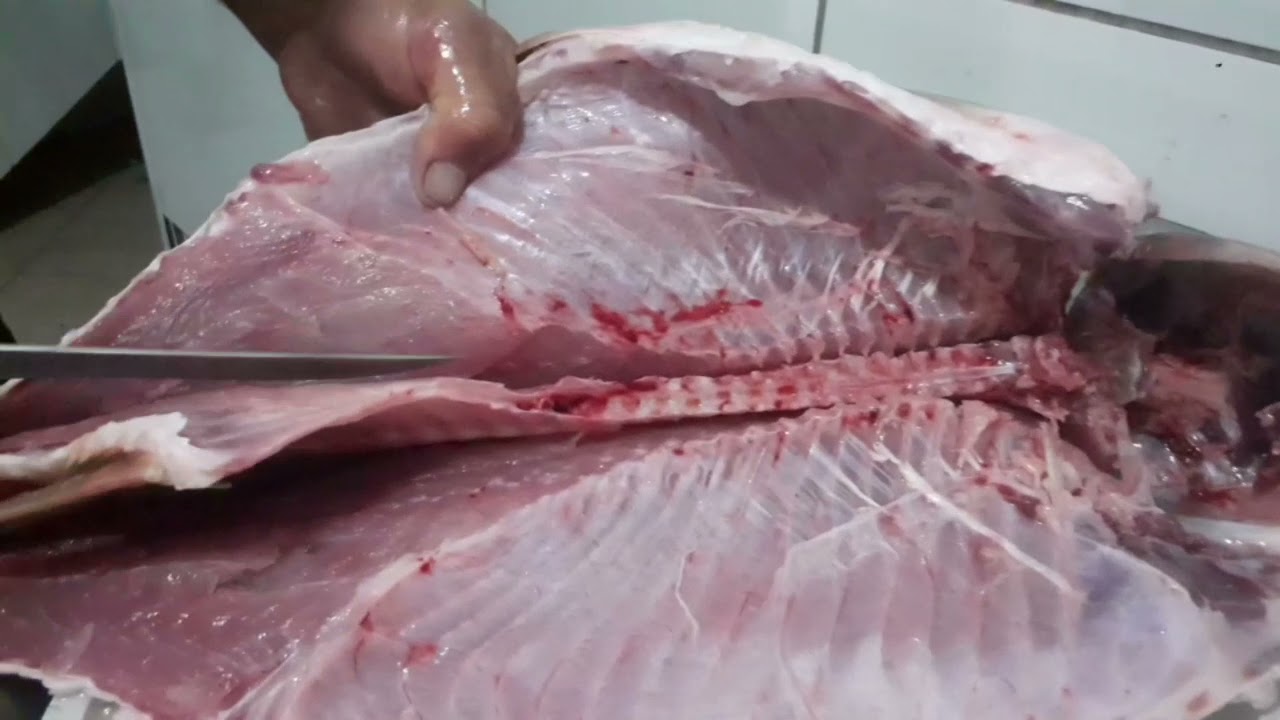 Dicas super importantes de como  retirar os espinhos de uma carpa e consumir peixes(descri&ccedil;&atilde;o)😋😋😋🎣🎣🎣
