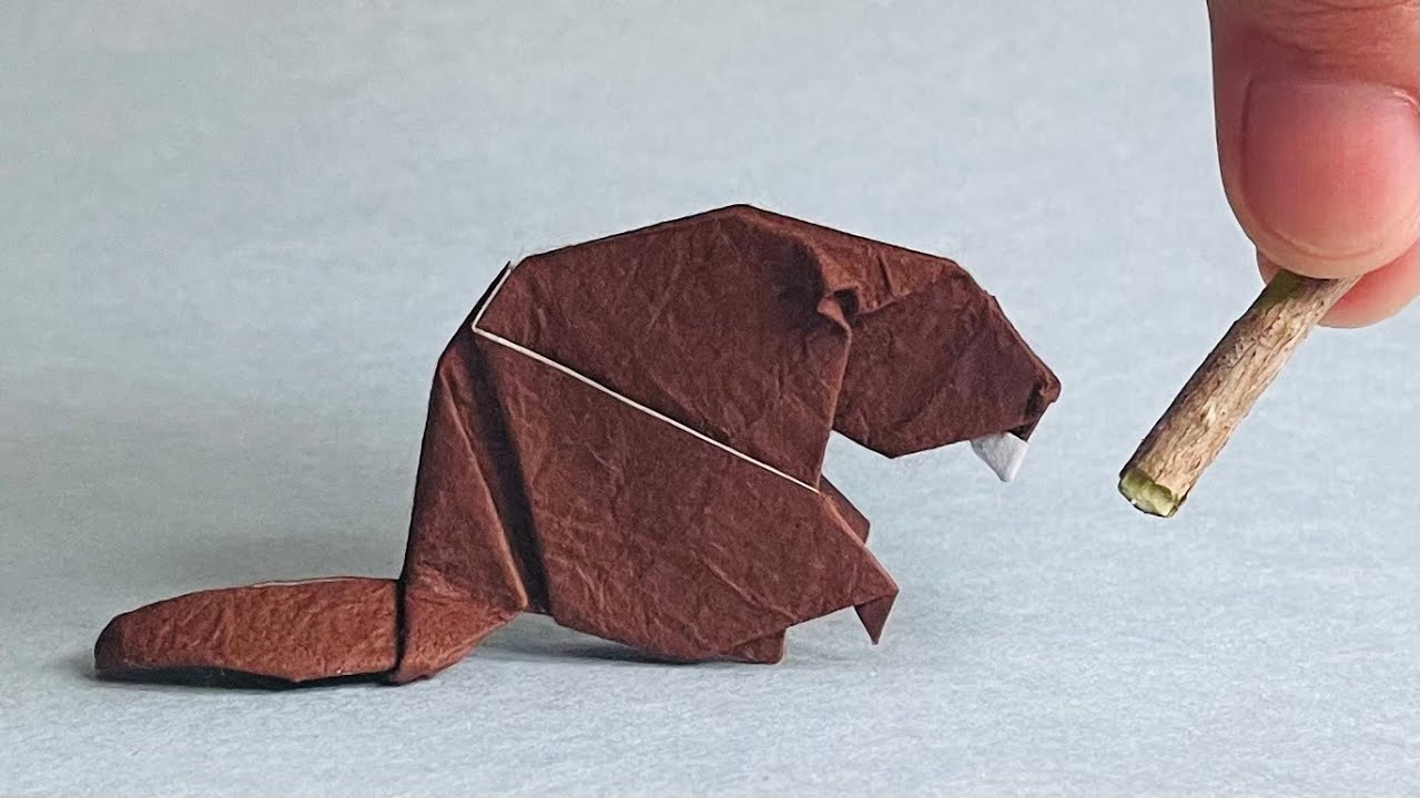 Origami Beaver 1.1, step by step tutorial