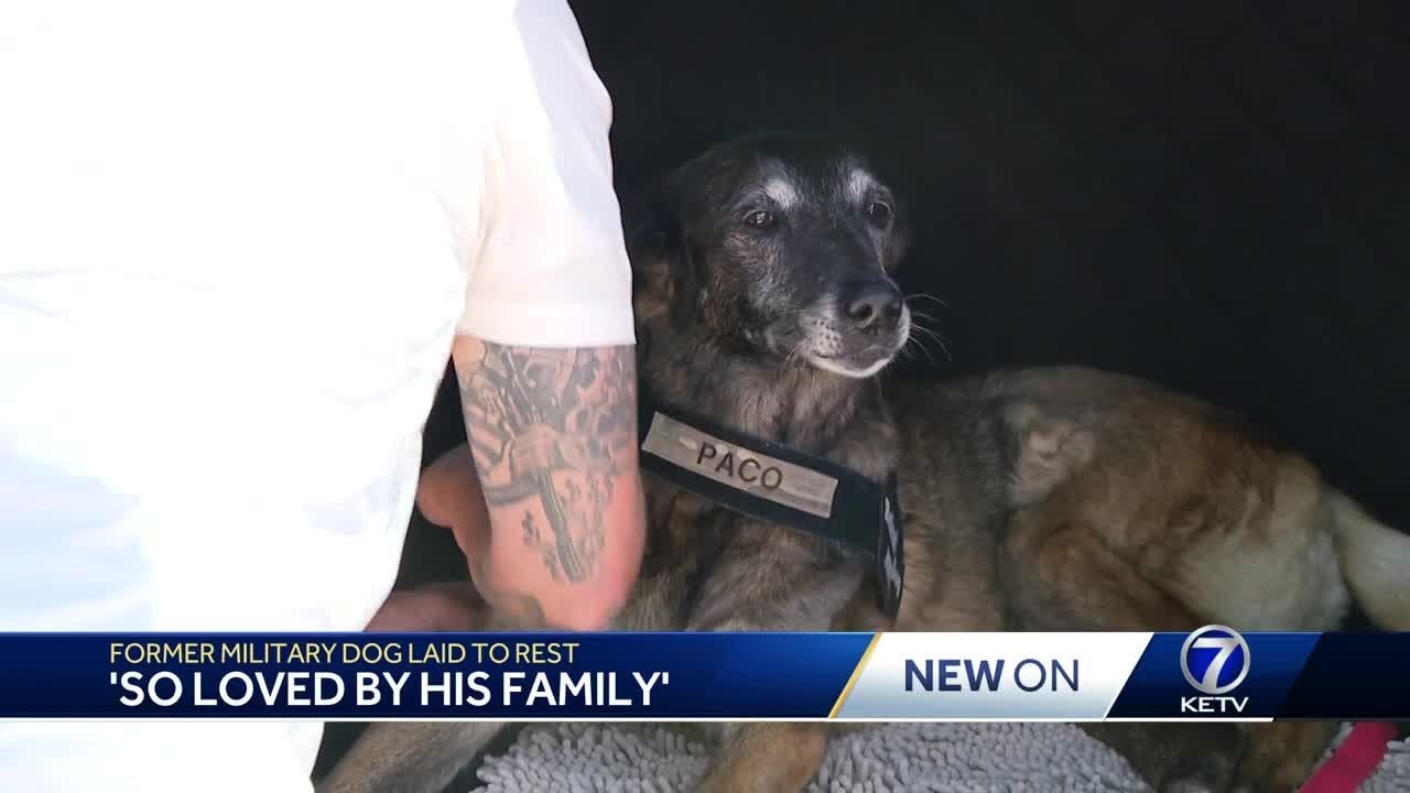 Former Military Dog Laid to Rest