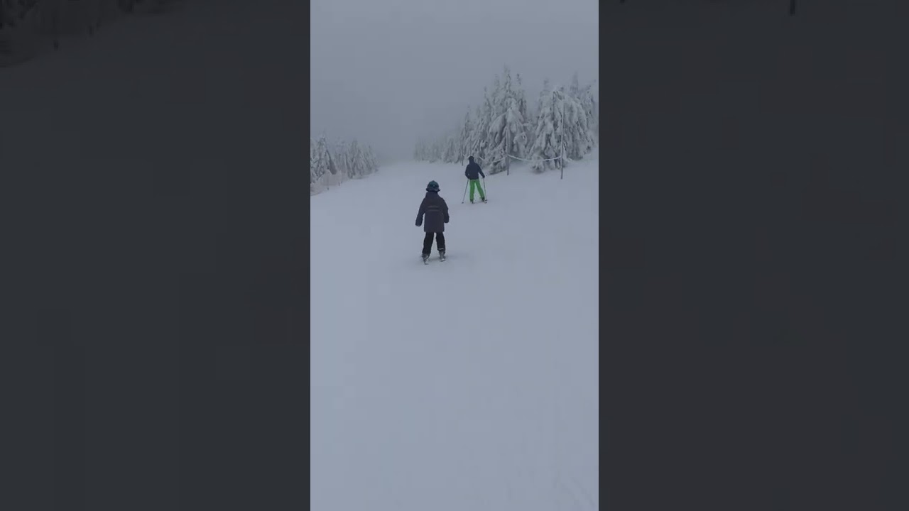 Lys&aacute; Hora -  Horn&iacute; Domky skiing