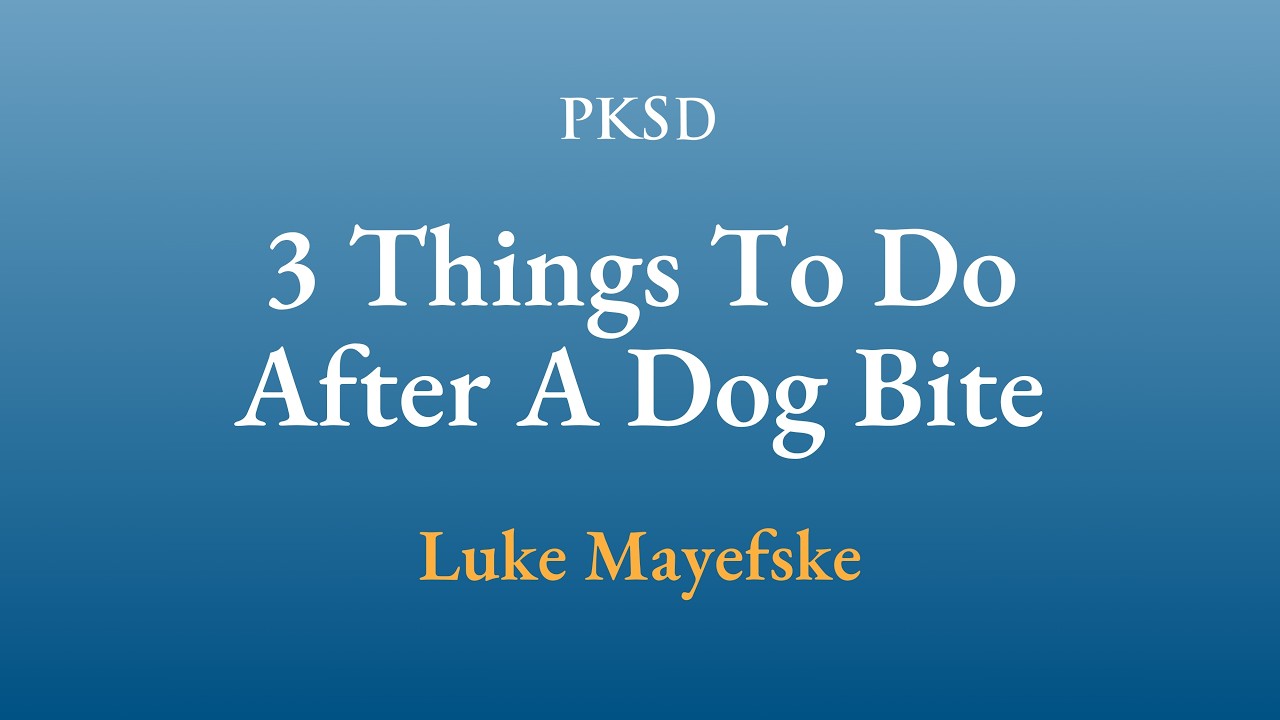 Lawyer Explains: 3 Things to Do After a Dog Bite