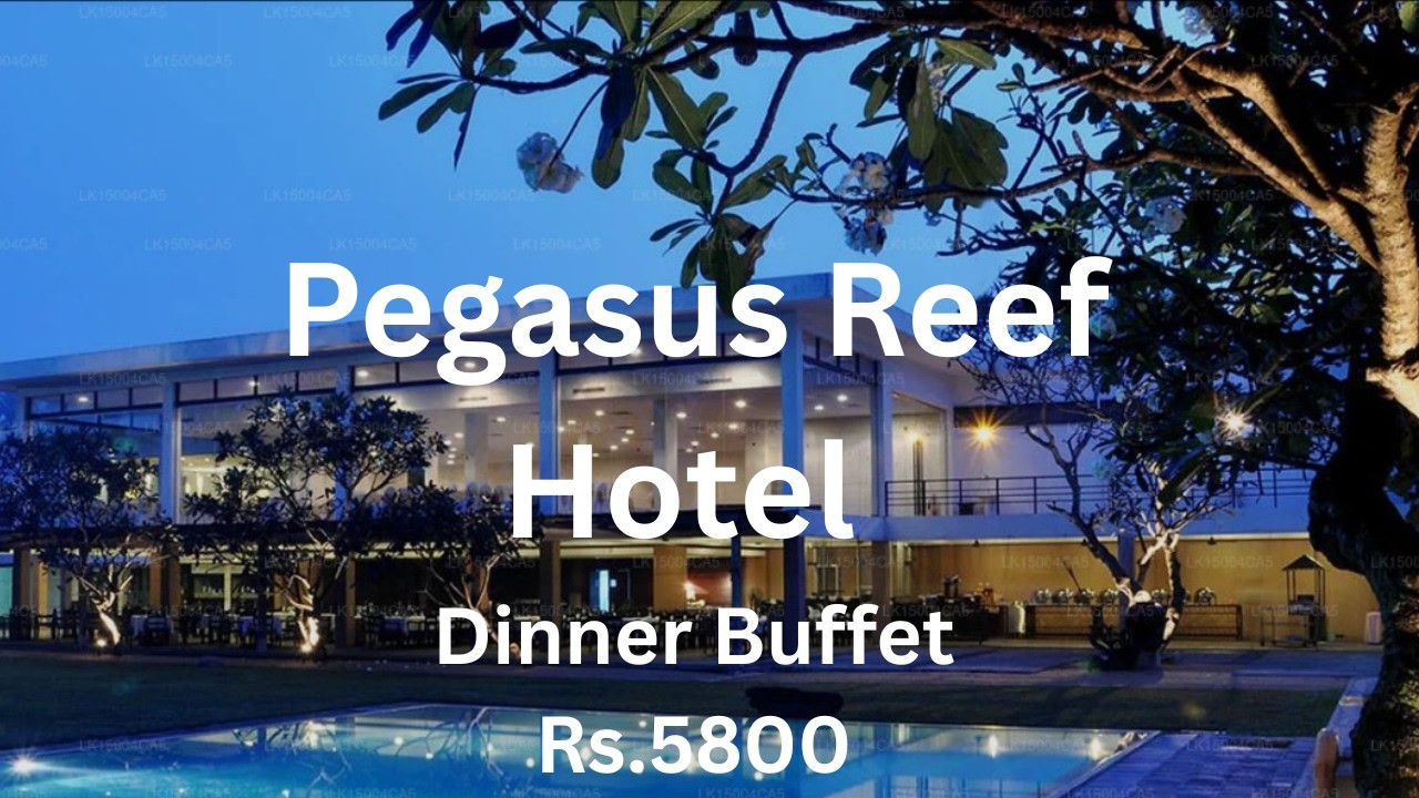Pegasus Reef Hotel Wattala Dinner Buffet 🍽️ | Full Review & Food Tour