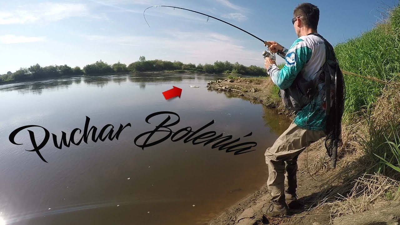 Jak wygrałem Puchar bolenia| Aspius Fishing | Boleń na Spinning
