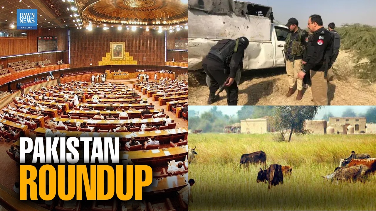 Senate Session, Punjab Land Reforms, Transport Strike Dominate Developments | Dawn News English