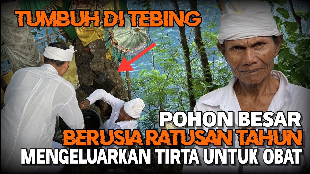 Ajaib!!Tumbuh Besar di Tebing dan Mengeluarkan Air Suci | Asal Muasal Pura Dalem Buhu Nusa Ceningan