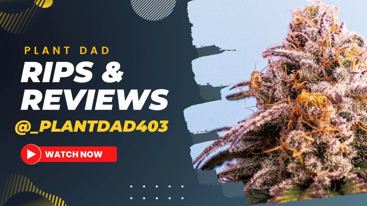HOME GROWN BUD REVIEWS