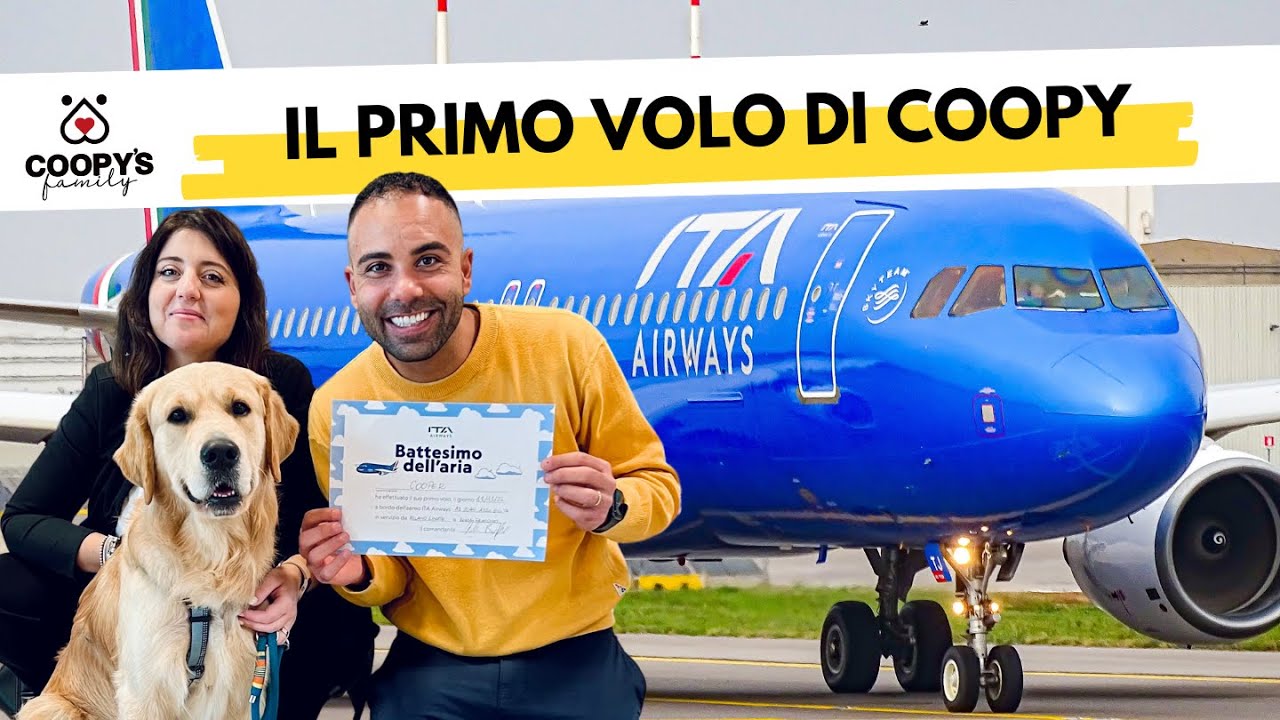 VIAGGIARE IN AEREO CON UN CANE IN STIVA. LA NOSTRA ESPERIENZA CON @ITA Airways