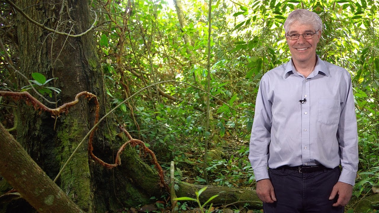 Christopher Neill (WHRC) 1: Consequences of Amazon Deforestation