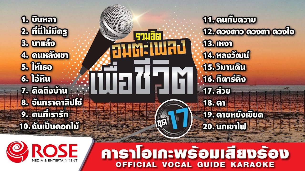 รวมฮิต - อมตะเพลงเพื่อชีวิต ชุด 17 (Karaoke Album)