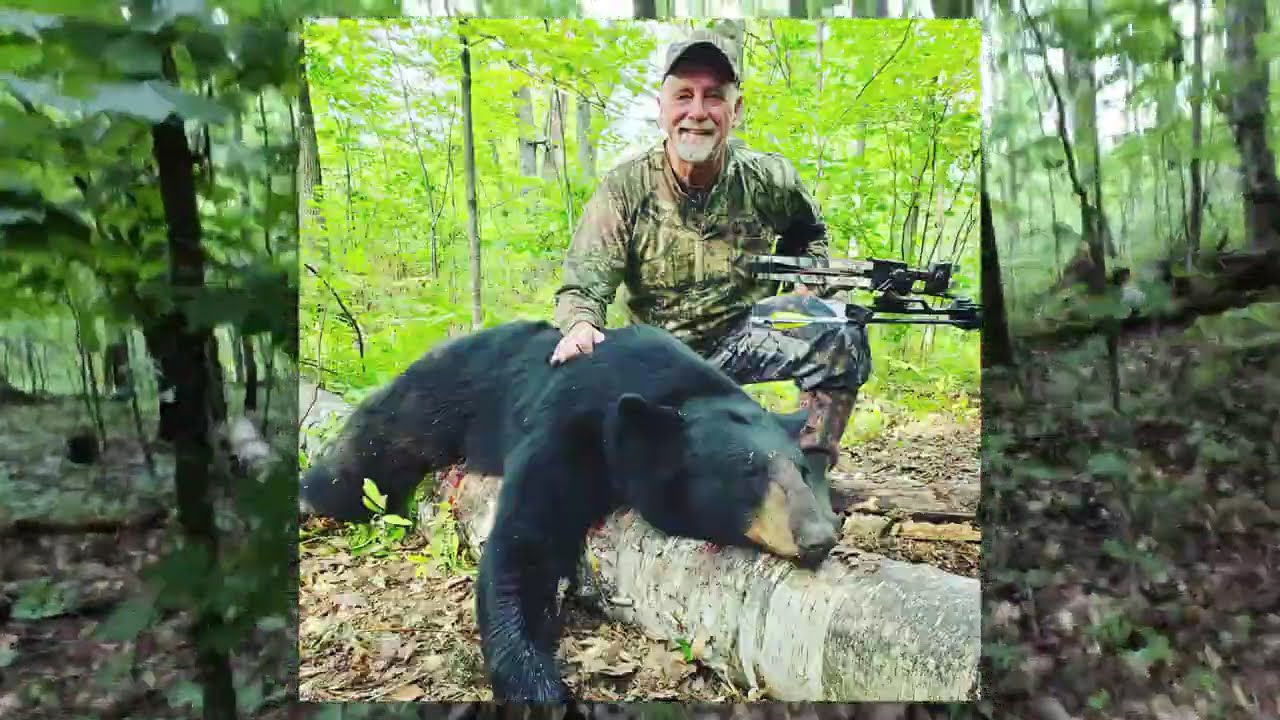 Bear Chronicles: A Day of Baiting Black Bear in Minnesota with Wheezy Outdoors