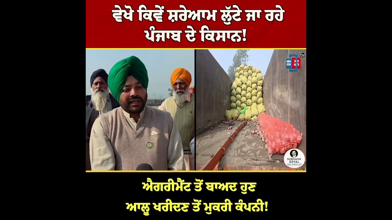 ਵੇਖੋ ਕਿਵੇਂ ਸ਼ਰੇਆਮ ਲੁੱਟੇ ਜਾ ਰਹੇ ਪੰਜਾਬ ਦੇ ਕਿਸਾਨ, ਐਗਰੀਮੈਂਟ ਤੋਂ ਬਾਅਦ ਹੁਣ ਆਲੂ ਖਰੀਦਣ ਤੋਂ ਮੁਕਰੀ ਕੰਪਨੀ!