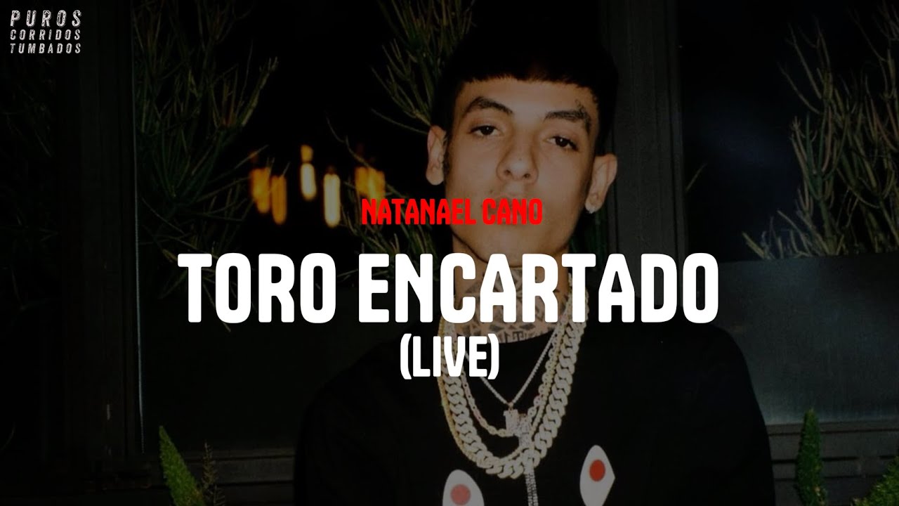 Natanael Cano - Toro Encartado (Live) [letra]