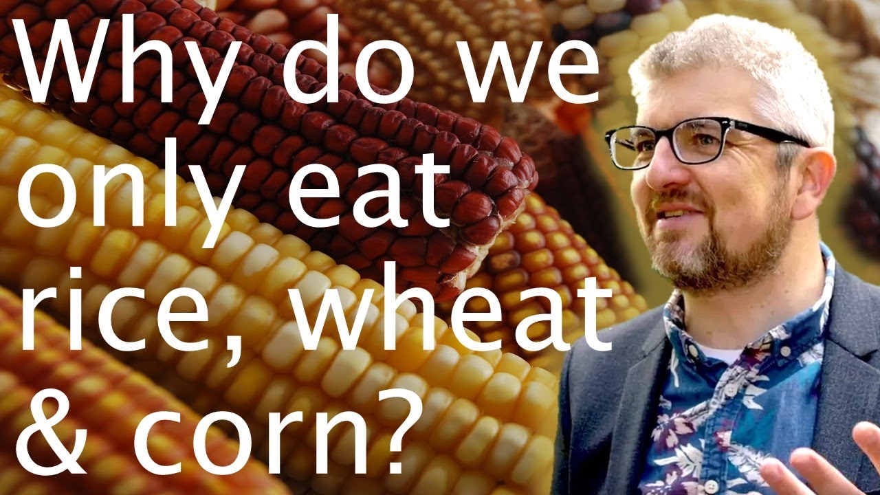 Domesticated plants: why do we eat some but not others? - Mark Chapman