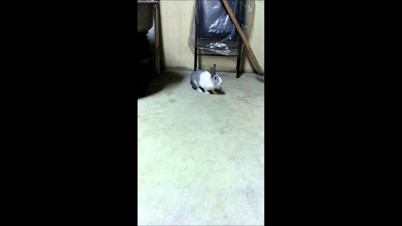 放風時間