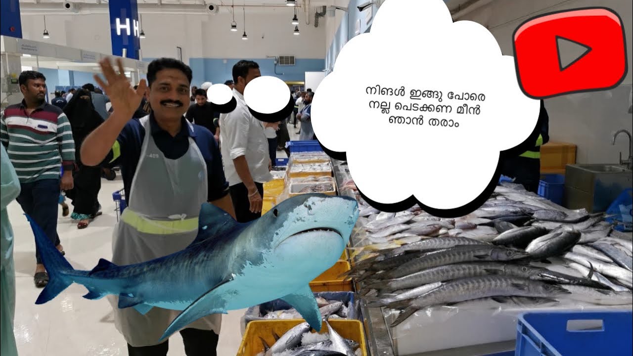 FISH MARKET DUBAI MALAYALAM / ദുബായ് ഫിഷ് മാർക്കറ്റിൽ രാത്രിയിൽ പോയാൽ എങ്ങനെ ഇരിക്കും