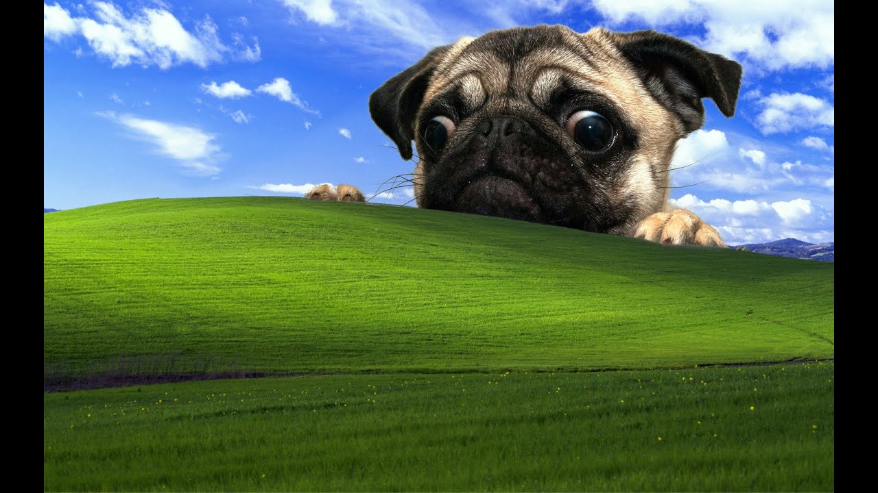 Эта игра лучше горебокса? ОБЗОР ИГРЫ Endorphin Vice