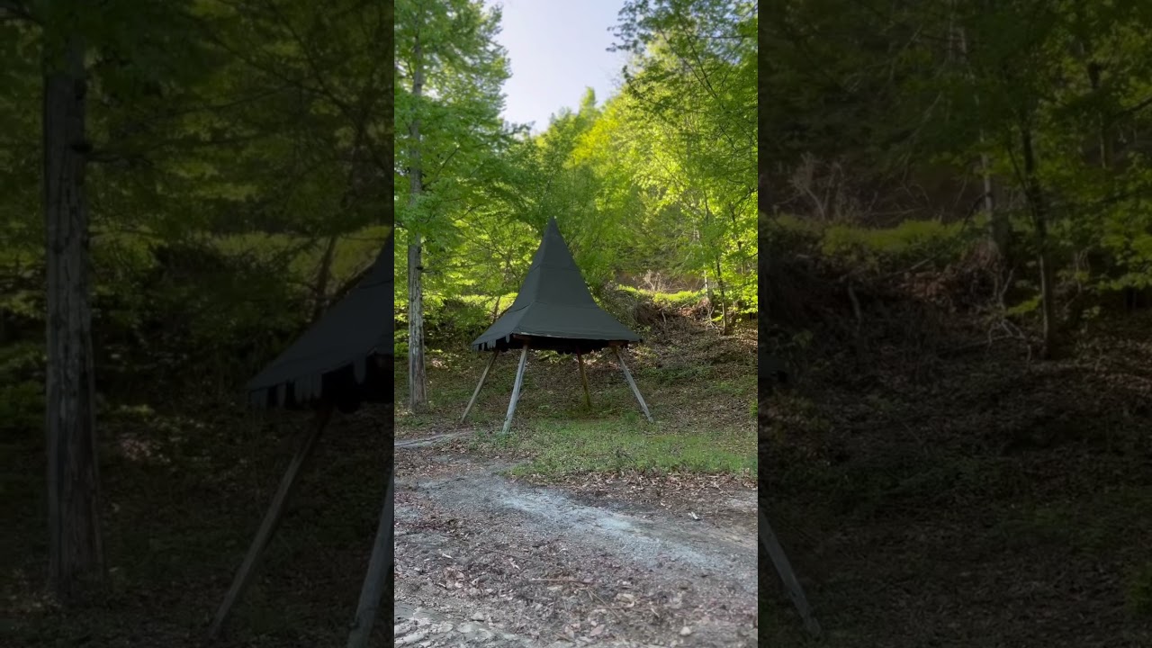Kırklareli - Sivriler Piknik Alanı #nature #forest #relaxing