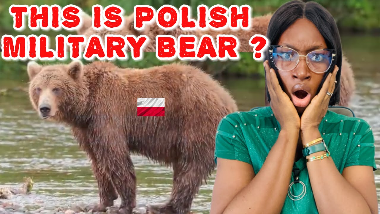 American Reacts To The Story of Wojtek | The Polish Military Bear