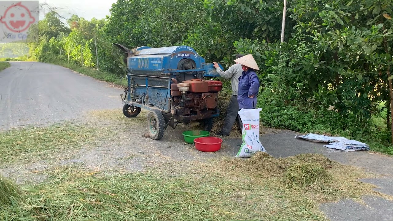 M&aacute;y v&ograve; l&uacute;a - m&aacute;y tuốt l&uacute;a - m&aacute;y đập l&uacute;a của người d&acirc;n ở Việt Nam. Rice Thresher machine in Vietnam