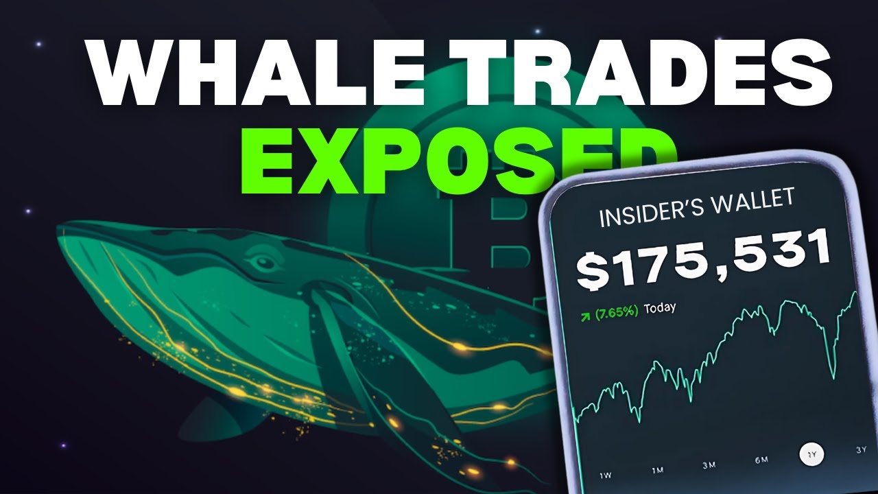 How to Track Whale Wallets and Make Profits &ndash; Step by Step Tutorial