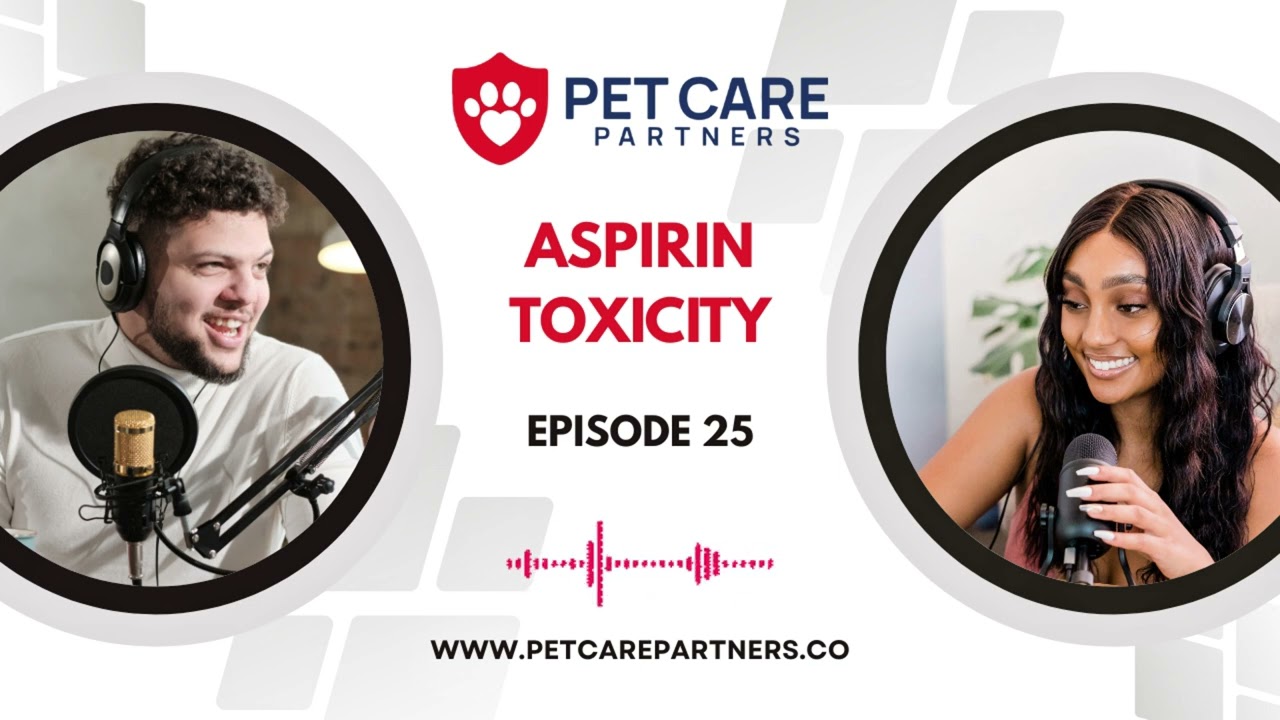 EP 25: Aspirin Toxicity in Pets: Recognition, Diagnosis, and Treatment | Pet Care Partners Podcast