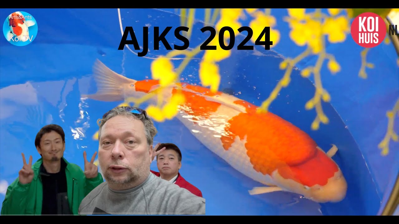ALL JAPAN KOI SHOW 2024 | KoiHunt januari deel 1