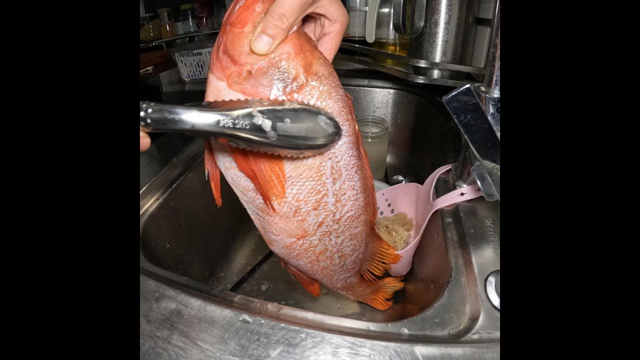海鱼的红烧做法 Braised sea fish