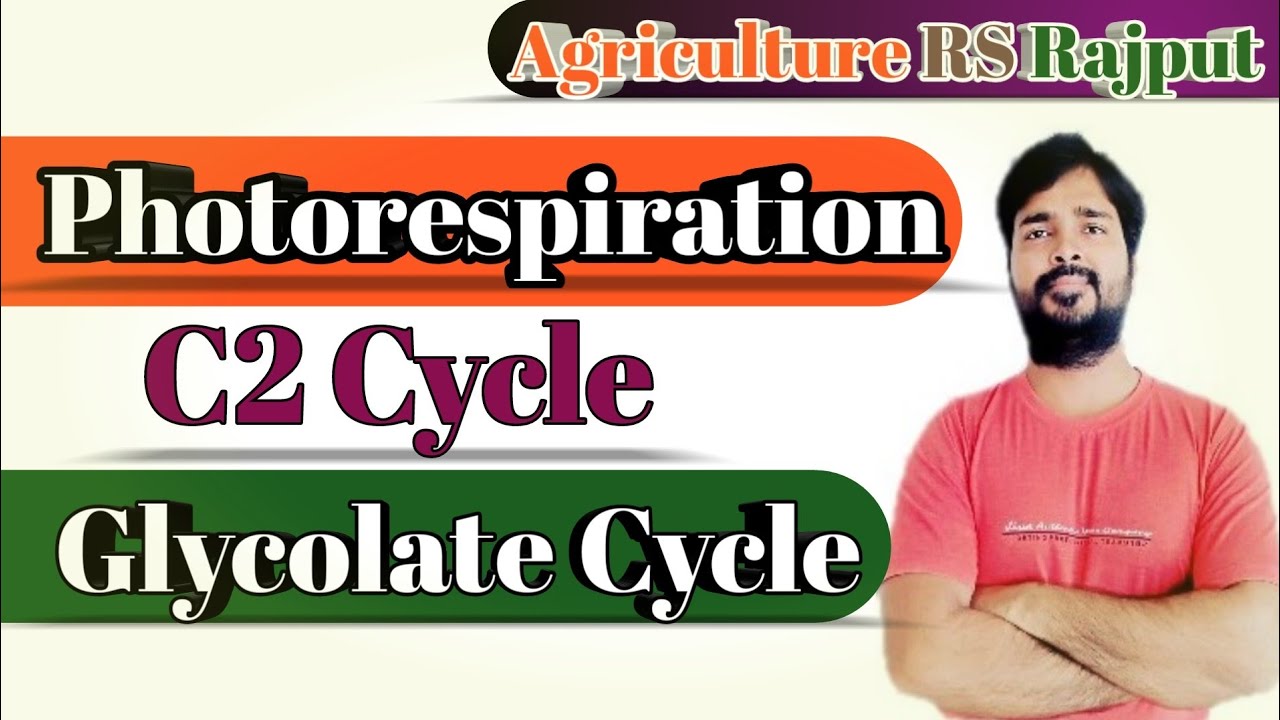 Photorespiration | C2 cycle | Glycolate pathway | Agriculture Online Classes