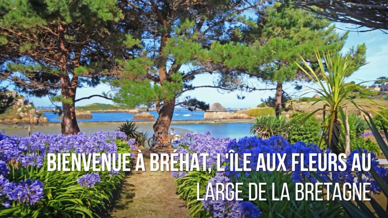 Bréhat, l’ile aux fleurs de Bretagne – Incontournable 4/7