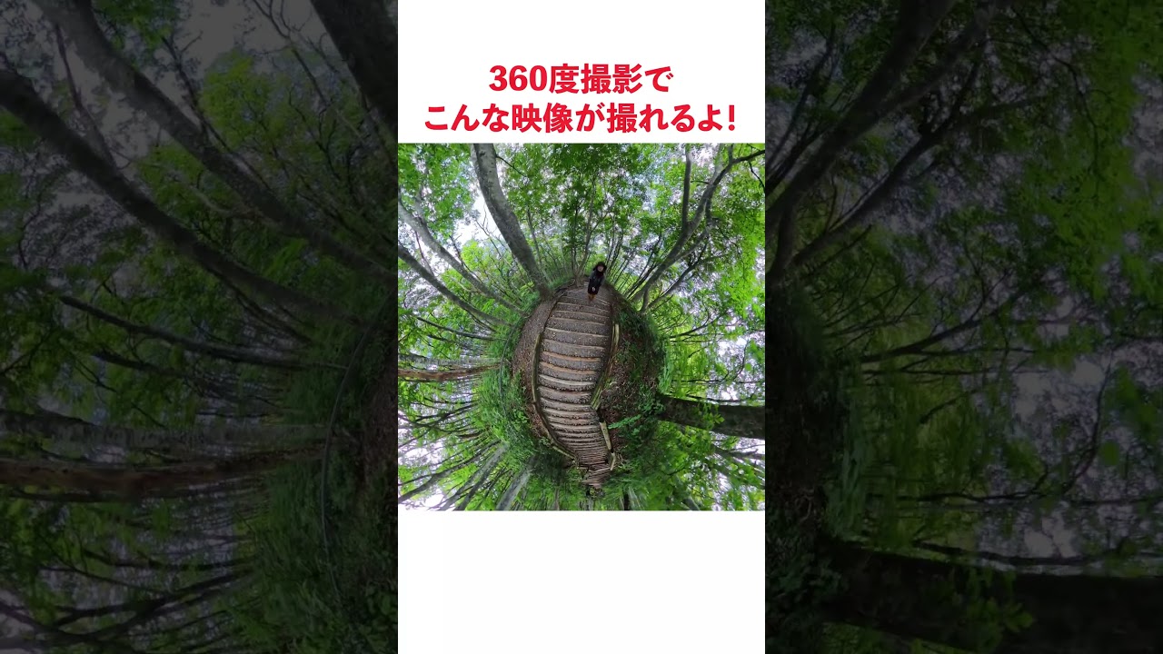 【絶景】insta360 X5を持って大山登山してきた！ #konatsucamper #大山#鳥取#insta360x5