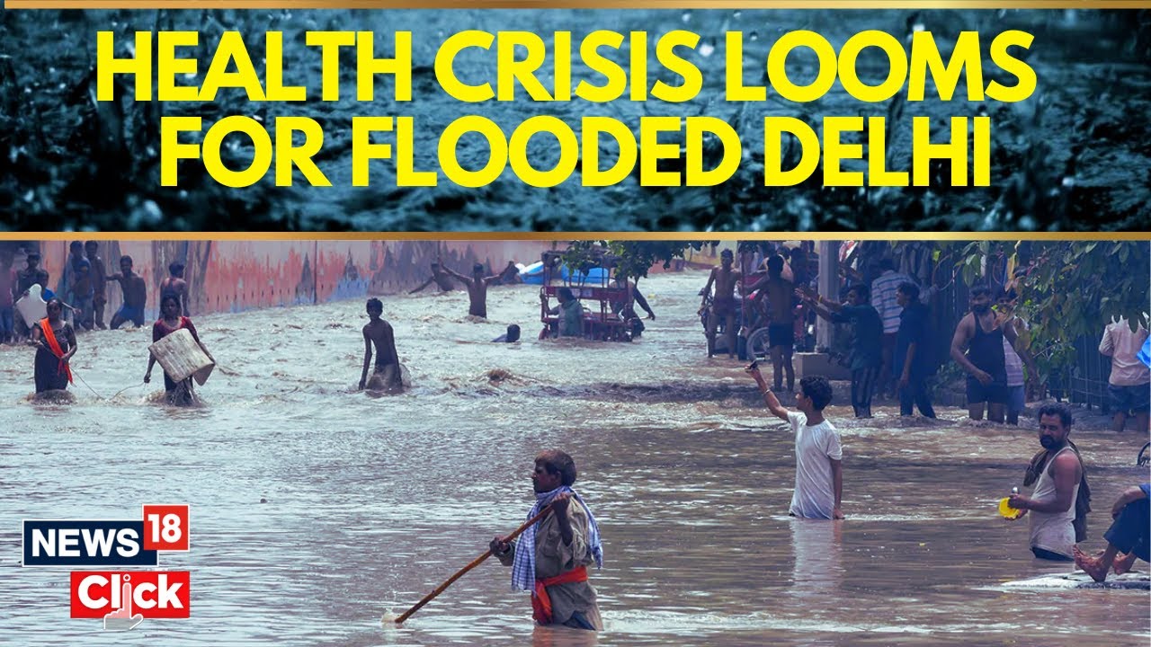 Delhi Flood News | Delhi Floods Raise Concerns For Public Health | Delhi News | English News