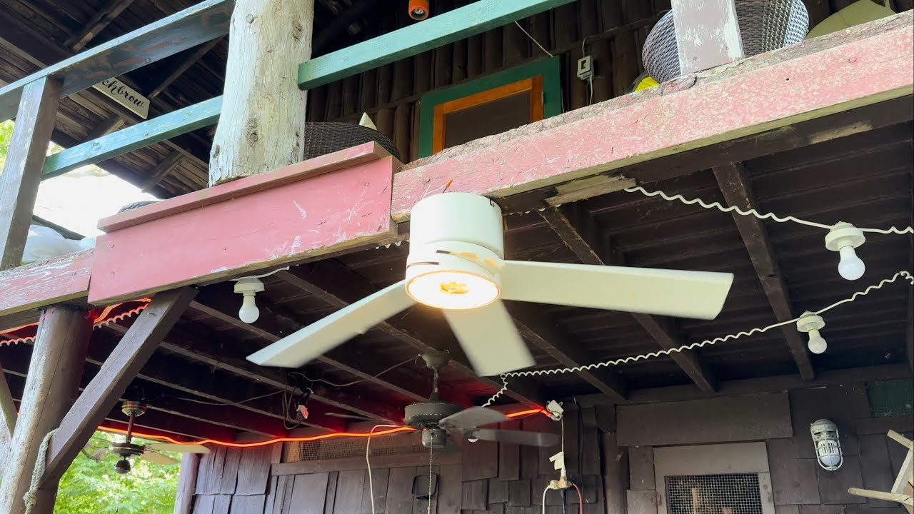 Уничтожение потолочного вентилятора №81