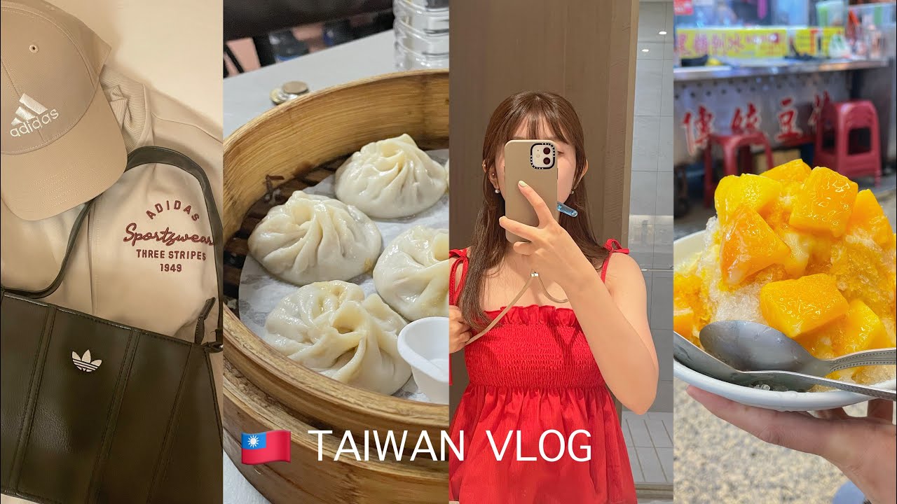 vlog.台湾🛫3DAYS🇹🇼グルメ|観光|プール|ショッピングを楽しむ🪿
