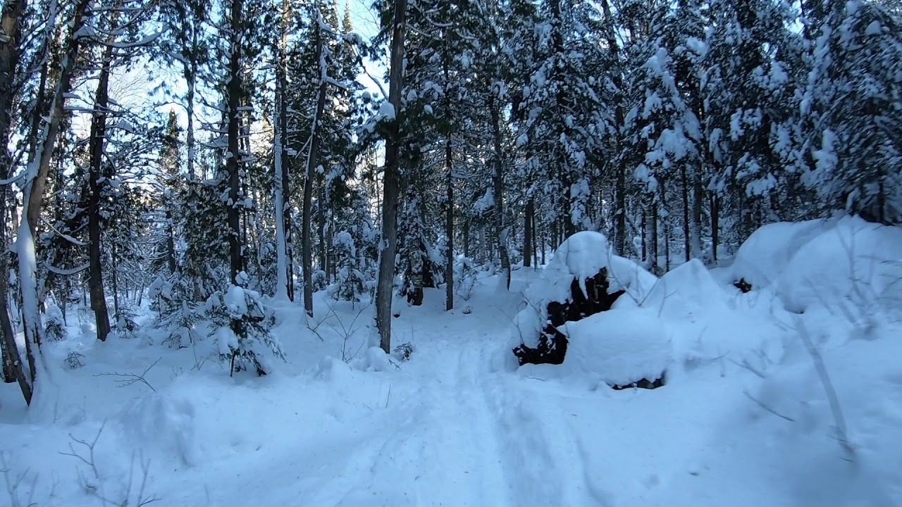 Ski de fond hors-piste