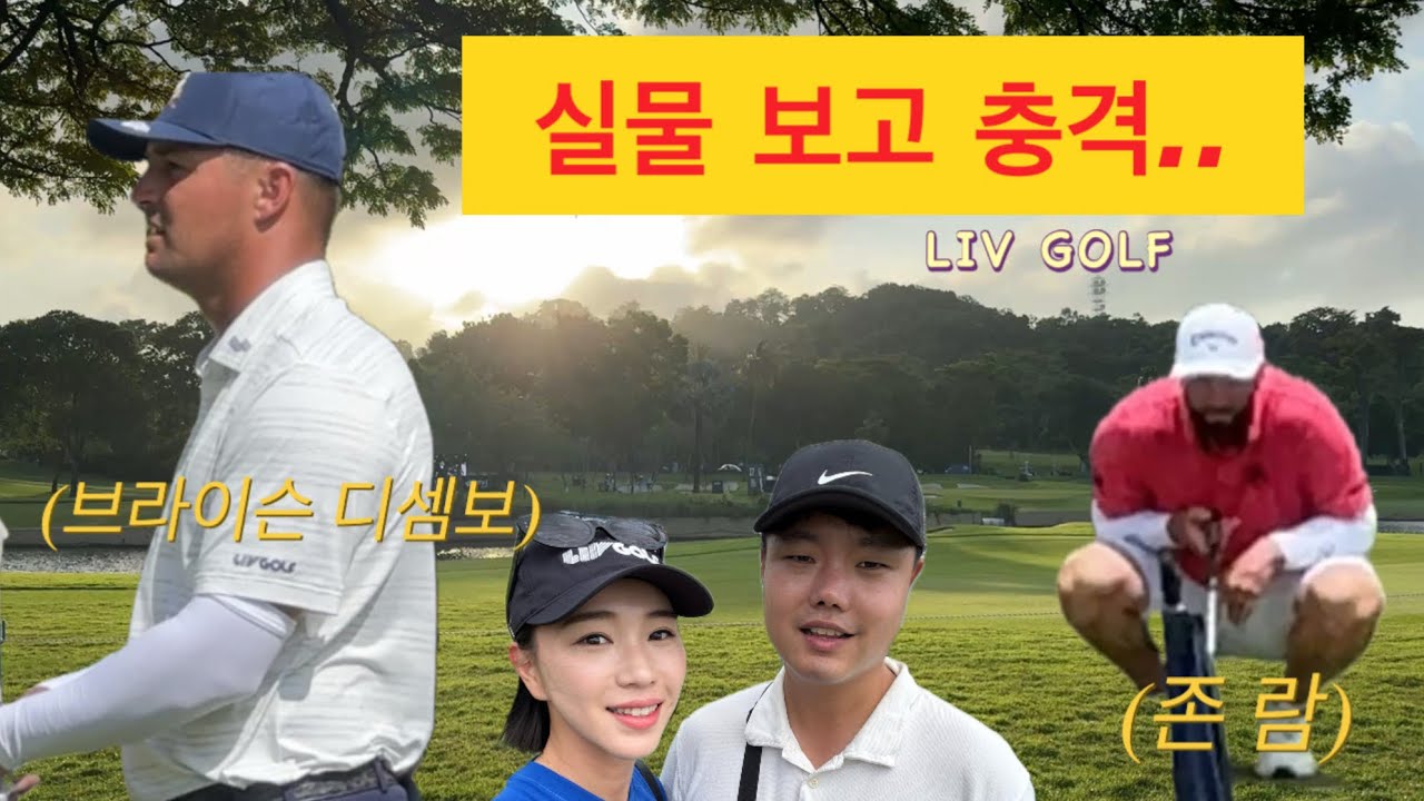 디셈보 실제로 봤는데..