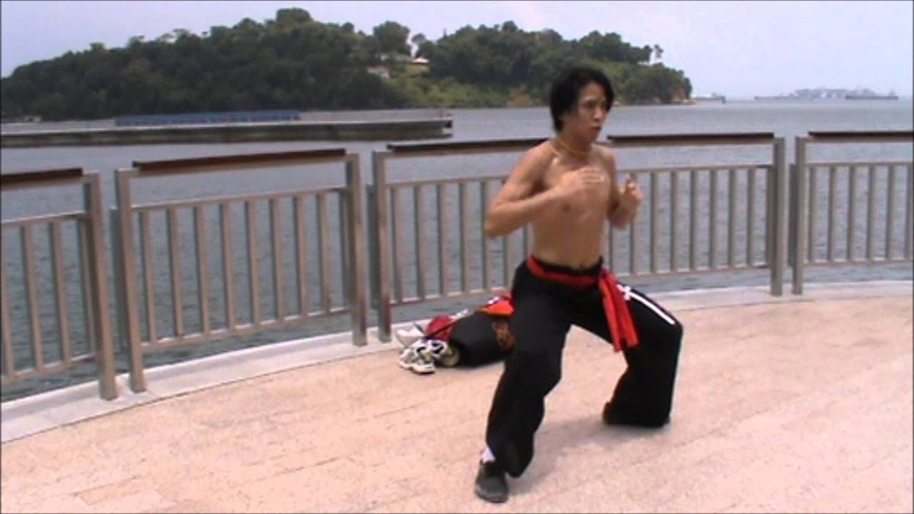 洪家铁线拳 Hung Gar Iron Wire Fist @ Labrador Natural Reserve