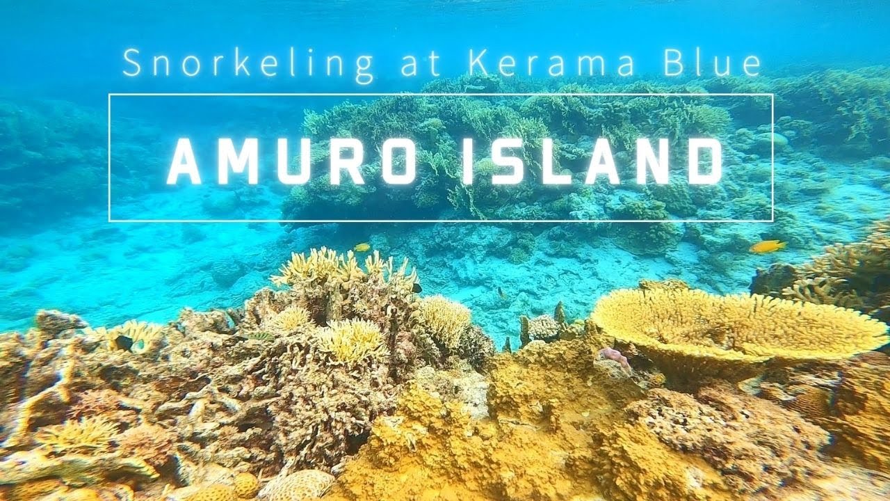 【沖縄 座間味 安室島】ケラマブルーで宇宙遊泳してきた