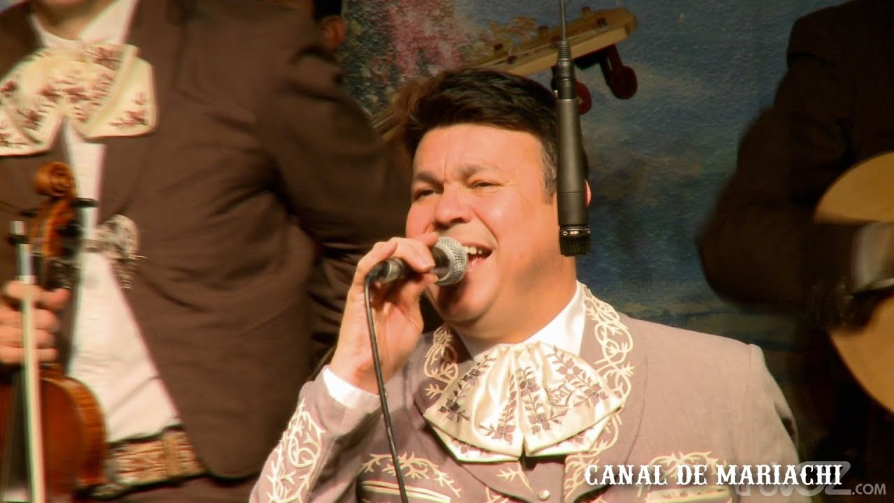 EL REY DE LA HUASTECA | MARIACHI SOL DE MEXICO