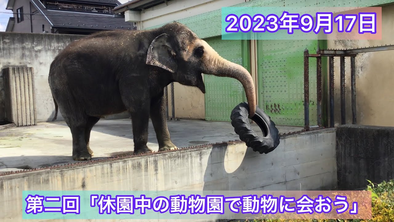 第二回「休園中の動物園で動物に会おう」