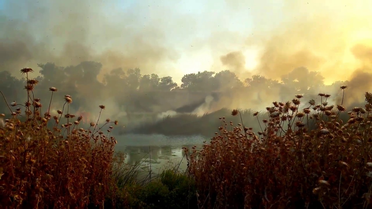 Fire - West Sacramento