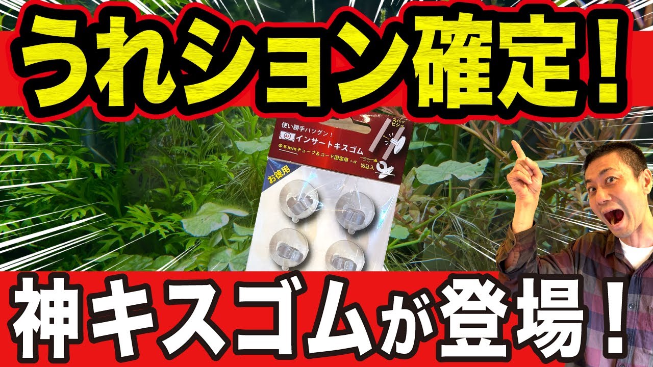 【もう外れない...】長年の悩み一撃解決！最強キスゴム登場！