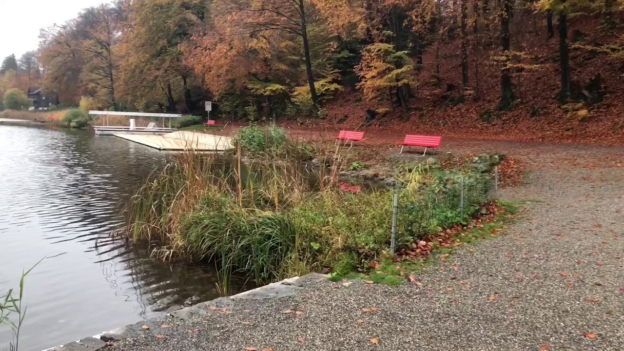 Rotsee Autumn